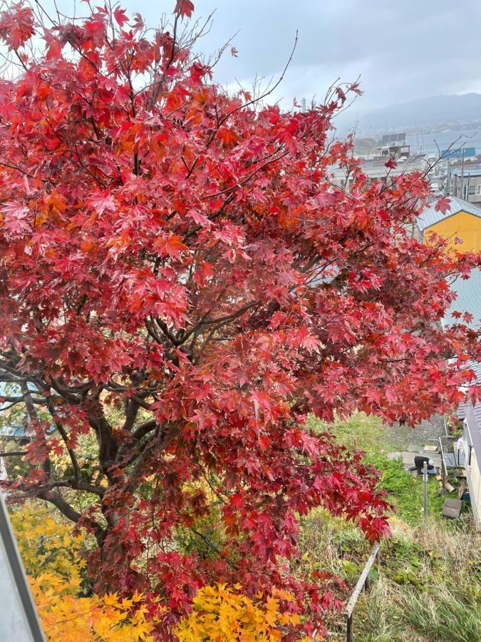 元町の宿　雪月花 Apartment Hakodate